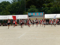 DSCN7557