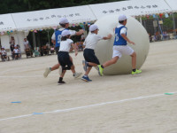 IMG_8031