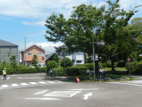 DSCN9313