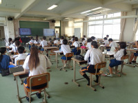 DSC00882 (1)
