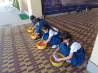 DSC00898 (1)
