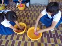 DSC00902