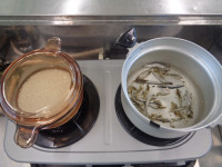 2af03adc-8591-4dff-b18c-00fb2810850e