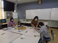 005a401b-08db-4e01-881f-3dba6d02cda1